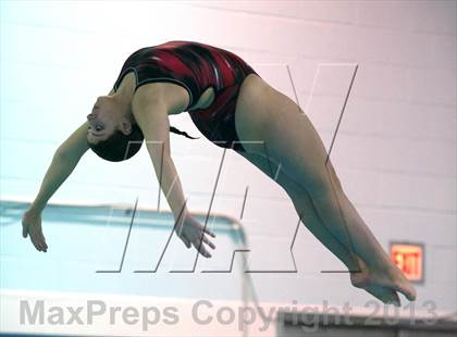 Thumbnail 2 in Section 11 Diving Championships photogallery.