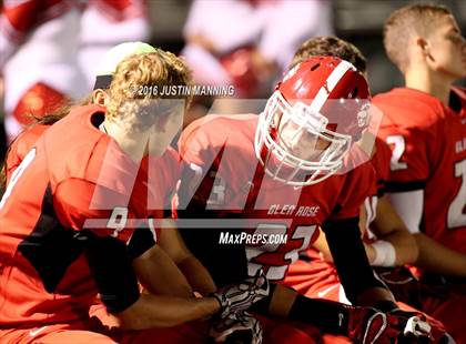 Thumbnail 3 in Bismarck @ Glen Rose photogallery.