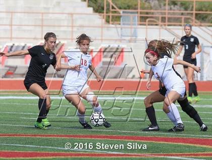 Thumbnail 1 in Cathedral Catholic vs. Palos Verdes (CIF SoCal Regional D2 Final)   photogallery.