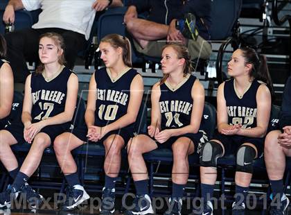 Thumbnail 1 in West Greene @ Seymour photogallery.