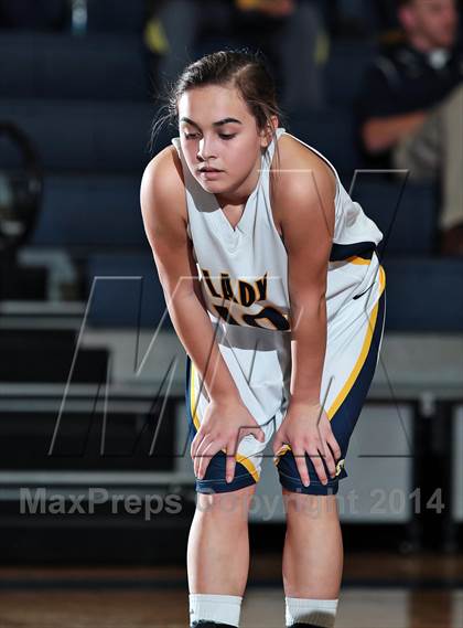 Thumbnail 1 in West Greene @ Seymour photogallery.