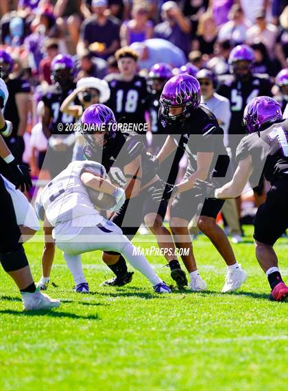 Thumbnail 2 in Widefield @ Mesa Ridge photogallery.