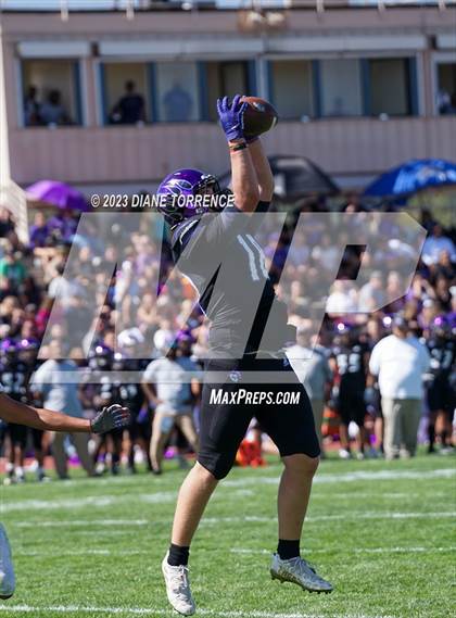 Thumbnail 2 in Widefield @ Mesa Ridge photogallery.