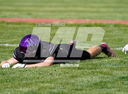 Thumbnail 3 in Widefield @ Mesa Ridge photogallery.