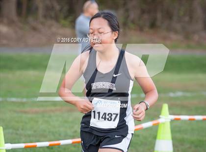 Thumbnail 1 in Joe Halm Alexandria City Cross Country Championships photogallery.