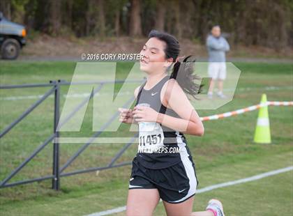 Thumbnail 3 in Joe Halm Alexandria City Cross Country Championships photogallery.