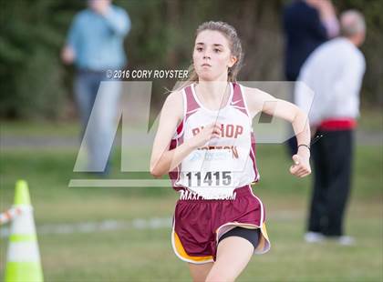 Thumbnail 1 in Joe Halm Alexandria City Cross Country Championships photogallery.