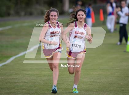 Thumbnail 2 in Joe Halm Alexandria City Cross Country Championships photogallery.
