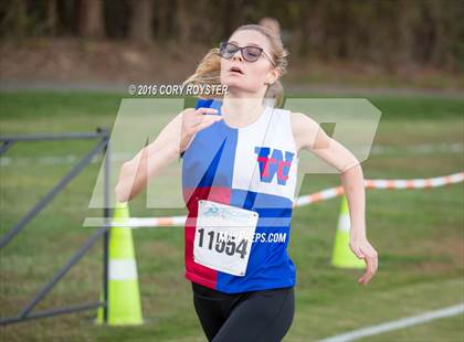 Thumbnail 3 in Joe Halm Alexandria City Cross Country Championships photogallery.