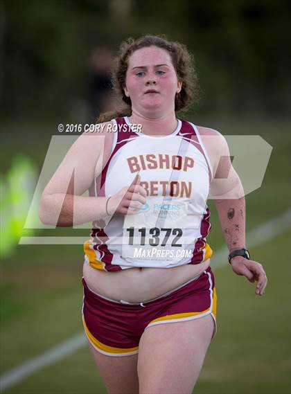 Thumbnail 2 in Joe Halm Alexandria City Cross Country Championships photogallery.