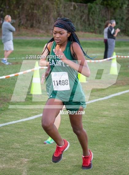 Thumbnail 1 in Joe Halm Alexandria City Cross Country Championships photogallery.