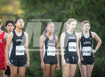 Thumbnail 3 in Joe Halm Alexandria City Cross Country Championships photogallery.
