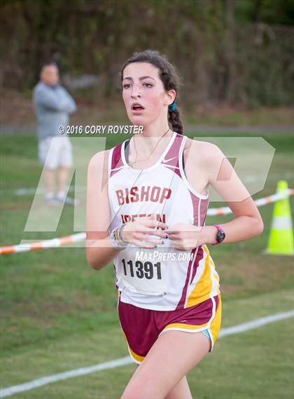 Thumbnail 3 in Joe Halm Alexandria City Cross Country Championships photogallery.