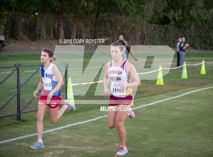 Thumbnail 2 in Joe Halm Alexandria City Cross Country Championships photogallery.