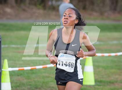 Thumbnail 2 in Joe Halm Alexandria City Cross Country Championships photogallery.