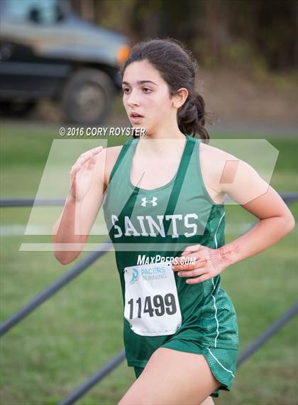 Thumbnail 3 in Joe Halm Alexandria City Cross Country Championships photogallery.