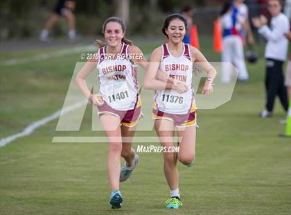 Thumbnail 1 in Joe Halm Alexandria City Cross Country Championships photogallery.