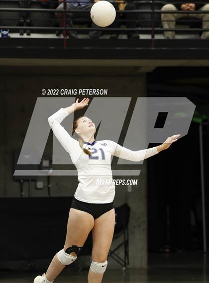 Thumbnail 2 in Timpanogos vs. Northridge (UHSAA 5A Quarterfinal Loss) photogallery.