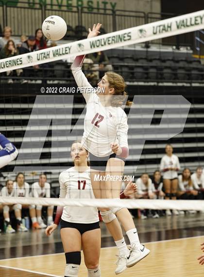 Thumbnail 1 in Timpanogos vs. Northridge (UHSAA 5A Quarterfinal Loss) photogallery.