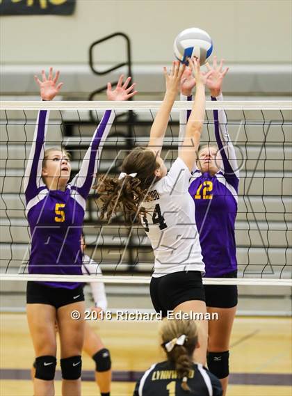 Thumbnail 2 in Lynnwood vs. Issaquah photogallery.