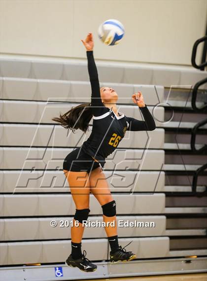 Thumbnail 1 in Lynnwood vs. Issaquah photogallery.