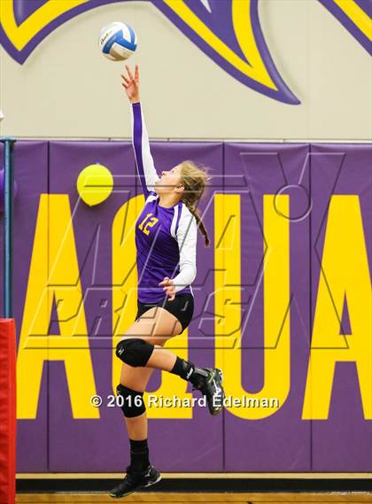 Thumbnail 2 in Lynnwood vs. Issaquah photogallery.