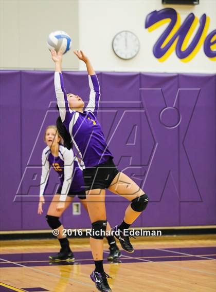 Thumbnail 1 in Lynnwood vs. Issaquah photogallery.