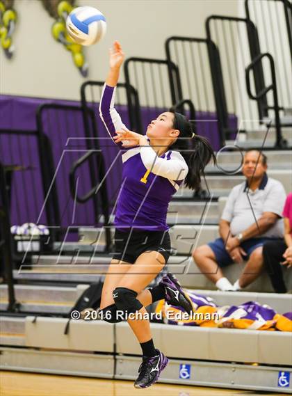 Thumbnail 3 in Lynnwood vs. Issaquah photogallery.
