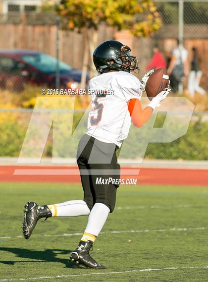 Thumbnail 2 in JV: Silver Creek @ Leland photogallery.