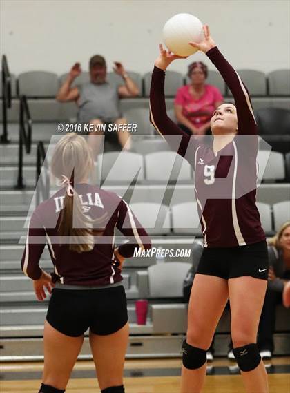 Thumbnail 2 in Flagler vs. Idalia photogallery.