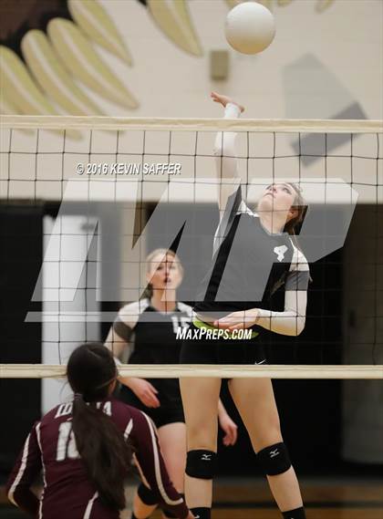 Thumbnail 1 in Flagler vs. Idalia photogallery.