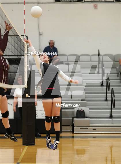Thumbnail 1 in Flagler vs. Idalia photogallery.