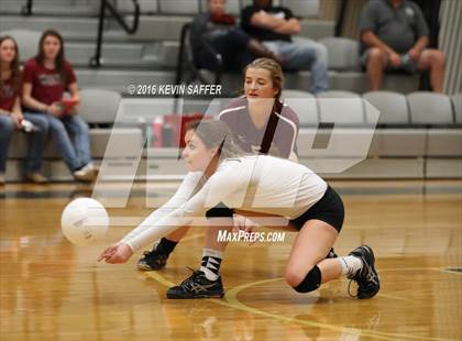 Thumbnail 1 in Flagler vs. Idalia photogallery.