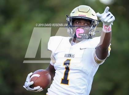 Thumbnail 2 in St. Thomas Aquinas @ Mandarin photogallery.