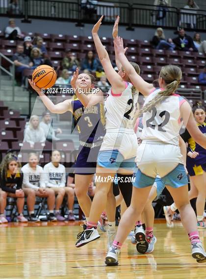 Thumbnail 2 in Canyon View vs. Summit Academy (UHSAA 3A 5th / 6th Place) photogallery.