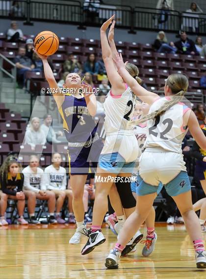 Thumbnail 3 in Canyon View vs. Summit Academy (UHSAA 3A 5th / 6th Place) photogallery.