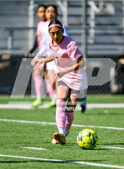 Thumbnail 1 in Madison @ Spring Woods photogallery.