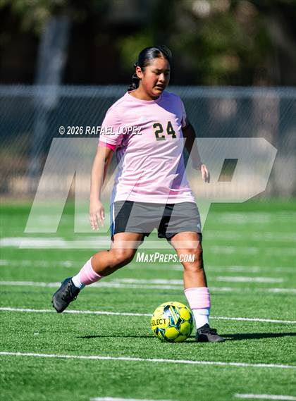 Thumbnail 3 in Madison @ Spring Woods photogallery.