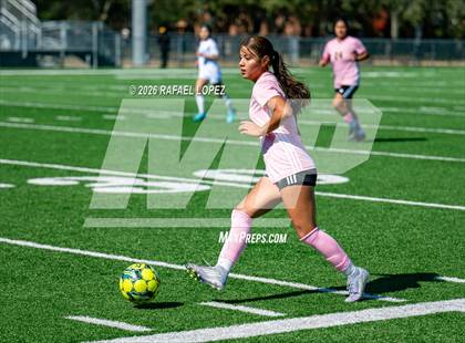 Thumbnail 3 in Madison @ Spring Woods photogallery.