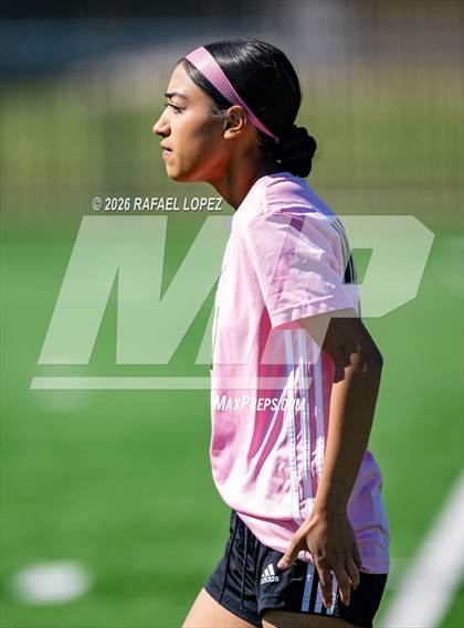 Thumbnail 1 in Madison @ Spring Woods photogallery.