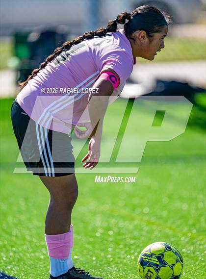 Thumbnail 3 in Madison @ Spring Woods photogallery.