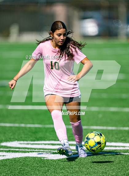 Thumbnail 3 in Madison @ Spring Woods photogallery.