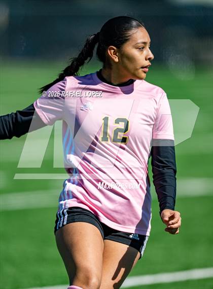 Thumbnail 3 in Madison @ Spring Woods photogallery.