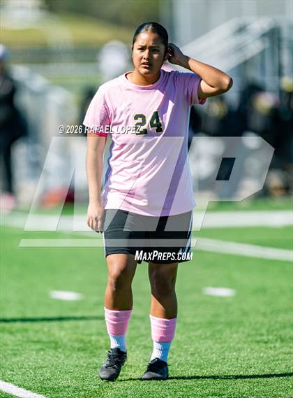 Thumbnail 1 in Madison @ Spring Woods photogallery.