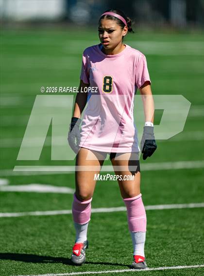 Thumbnail 3 in Madison @ Spring Woods photogallery.