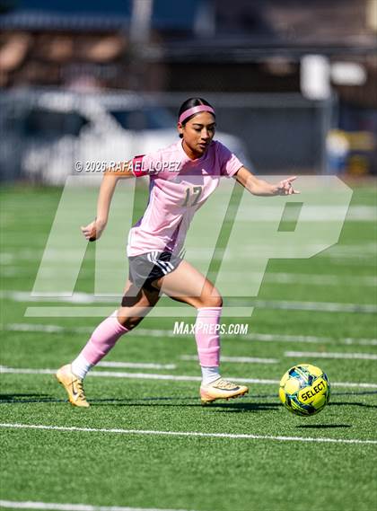 Thumbnail 2 in Madison @ Spring Woods photogallery.