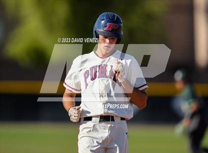 Thumbnail 1 in Basha @ Perry photogallery.
