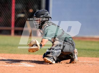 Thumbnail 1 in Basha @ Perry photogallery.