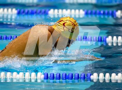 Thumbnail 1 in FCPS Swim and Dive Tri-Meet photogallery.
