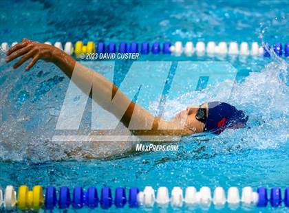 Thumbnail 2 in FCPS Swim and Dive Tri-Meet photogallery.